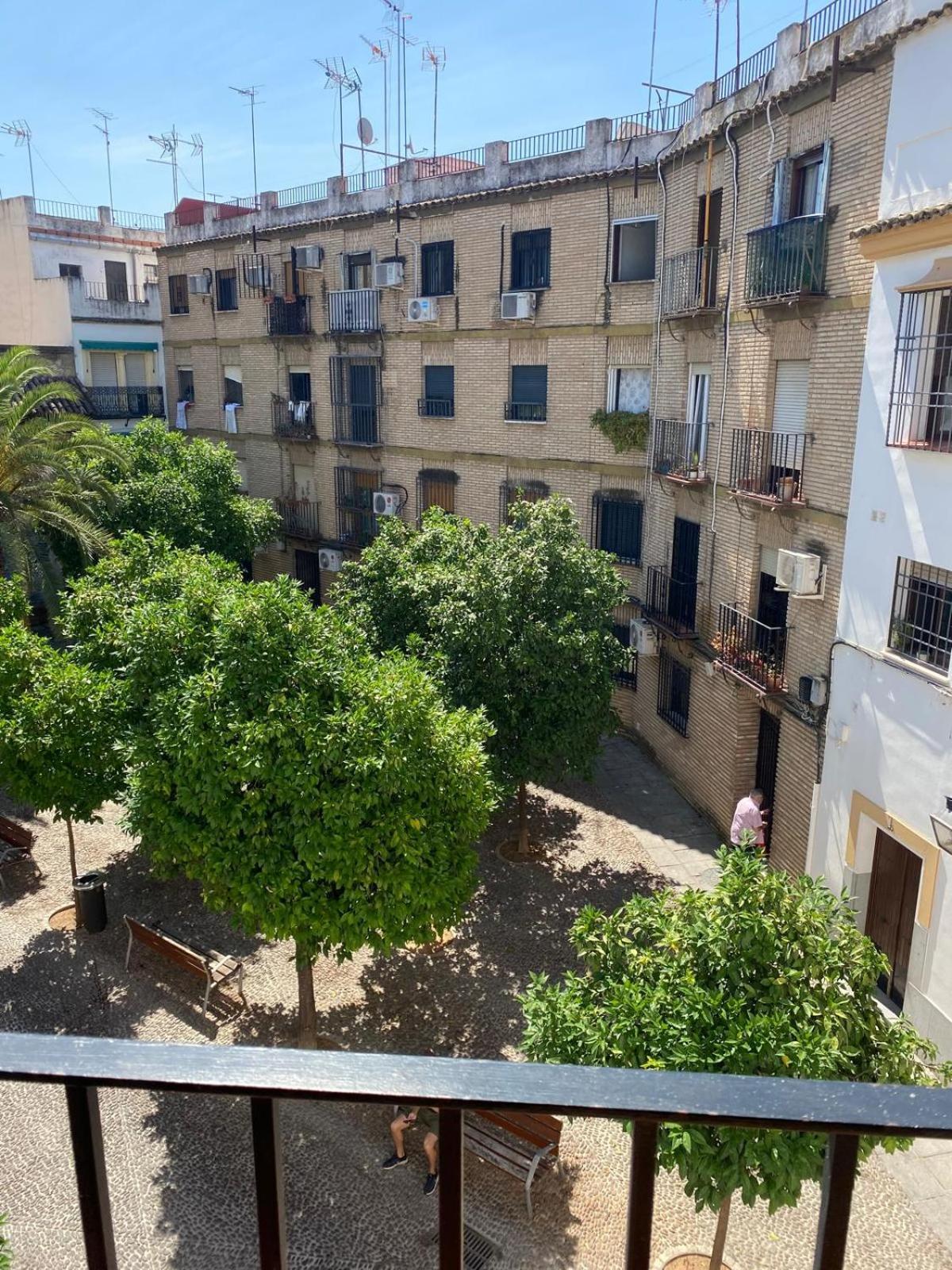Ferienwohnung La Escalerita Córdoba Exterior foto