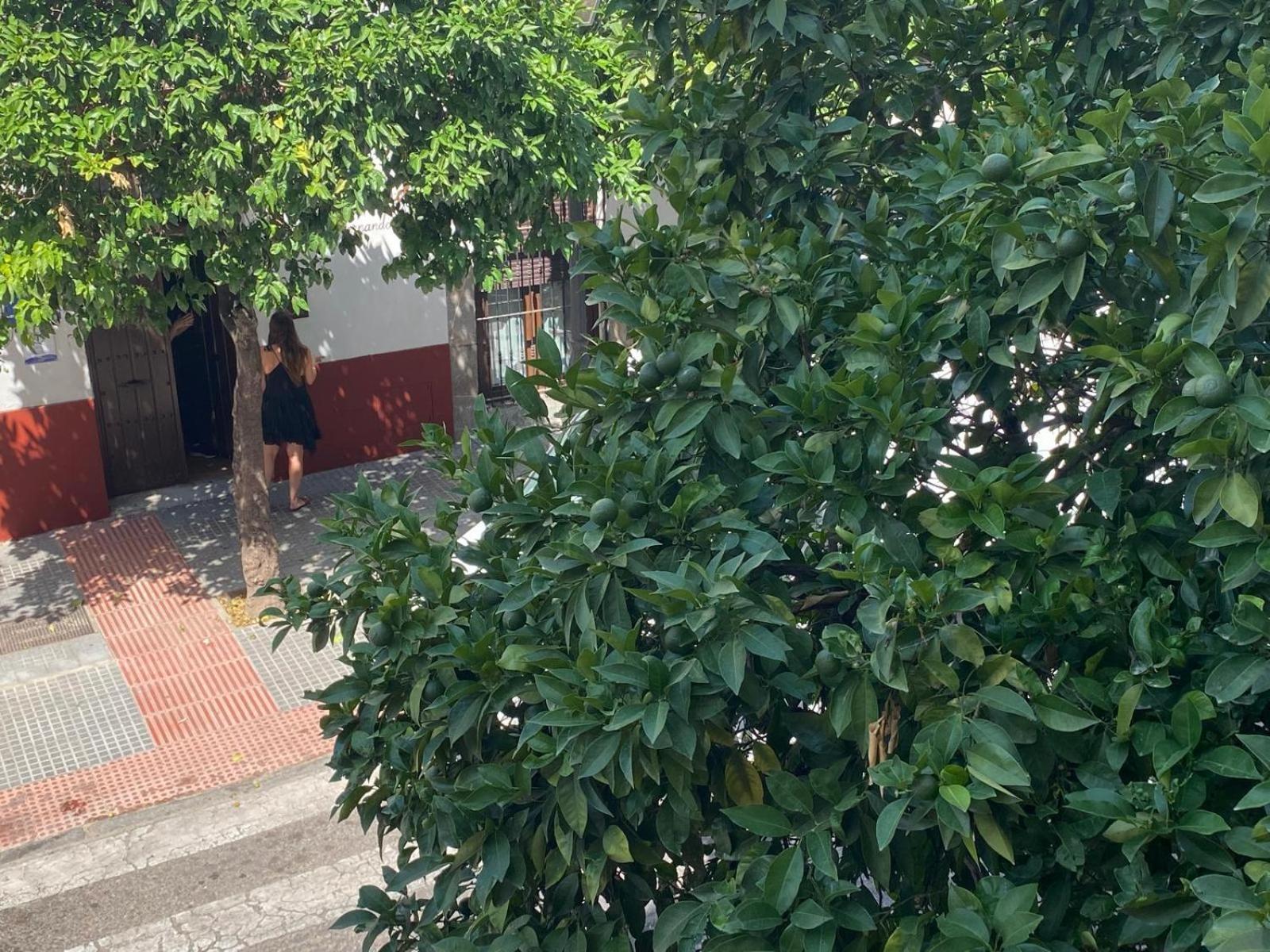 Ferienwohnung La Escalerita Córdoba Exterior foto